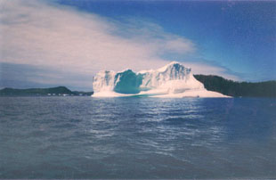 Iceberg